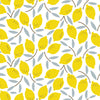 Easy Peasy Lemon Squeezy Organic Cotton Magnetic Footie