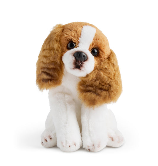 Cavalier King Charles Beanbag | Houston