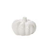 Garner Pumpkin (S)