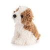 Maltipoo Beanbag