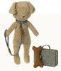 Puppy Supply | Accessories | Blue