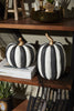 Otho Pumpkin 7.75" x 12.25"