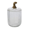Translucent Pumpkin Terrarium (S)