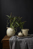 Revival Vase | 6"x 4.25"x 5.25"