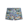 Ralph Lauren Swim Trunk | Polo Surf Scenic Print