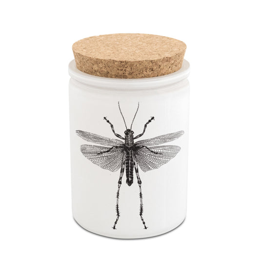 Citronella Candle | Eucalyptus