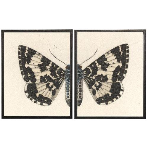 Diptych Black and White Butterfly | 48x30