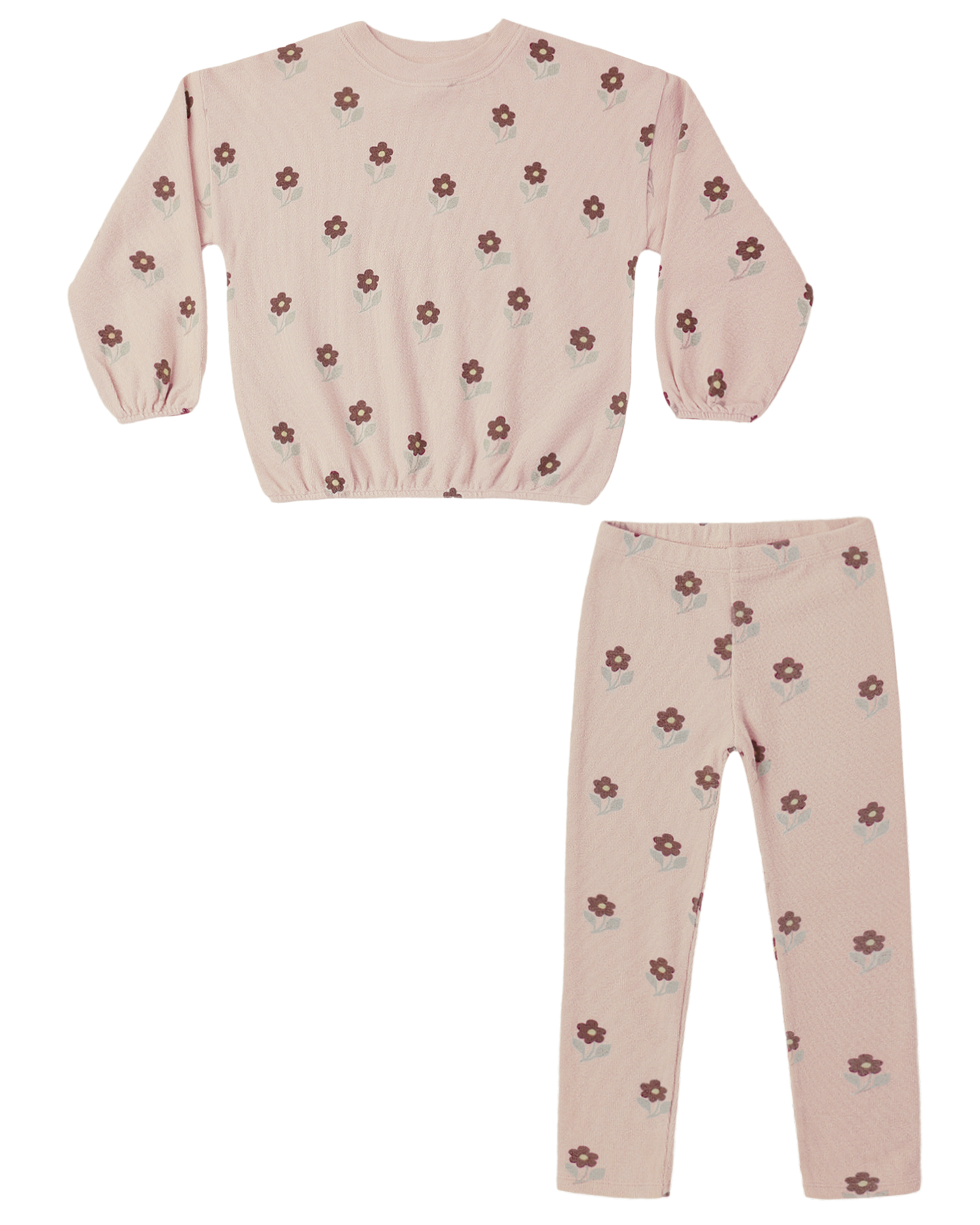 Spongey Kit Set | Petal Daisy