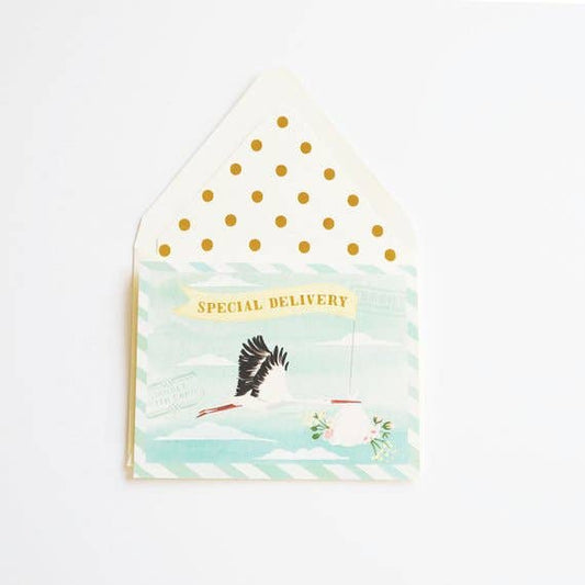 Special Delivery Baby Stork Greeting Card
