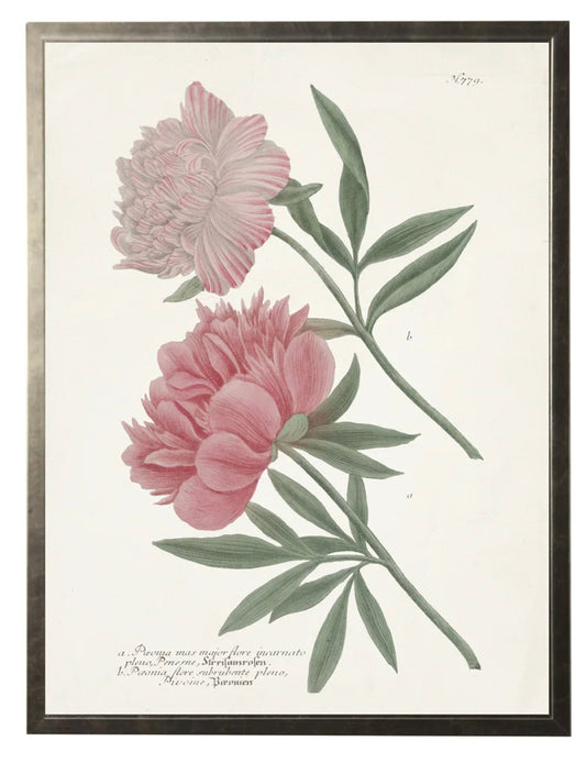 N. 779 Leaves w/ Pink Flowers